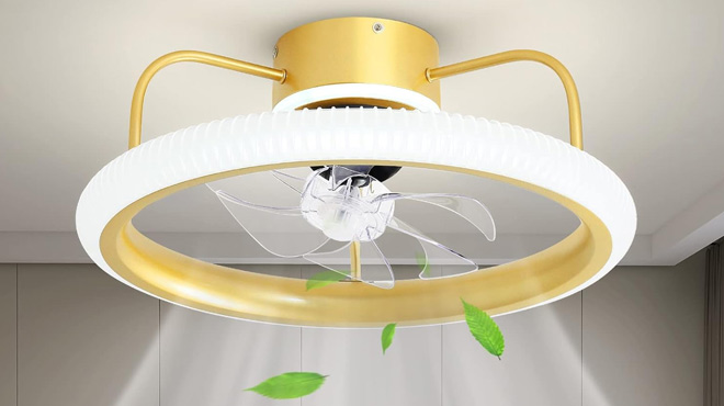 Zogoor Ceiling Fan with Light and Remote in Gold