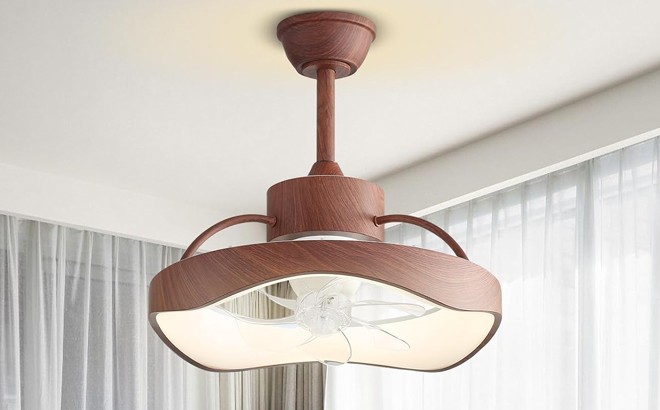 Zogoor Ceiling Fan with Light and Remote