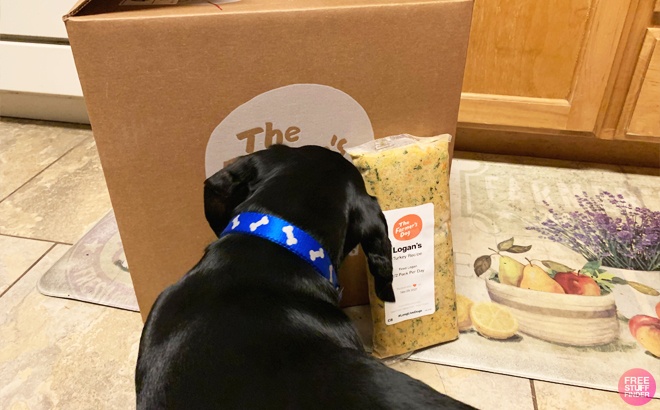 Dog in front of a Farmer's Dog Food Box