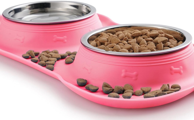 2 Stainless Steel Dog Bowls with Silicone Mat