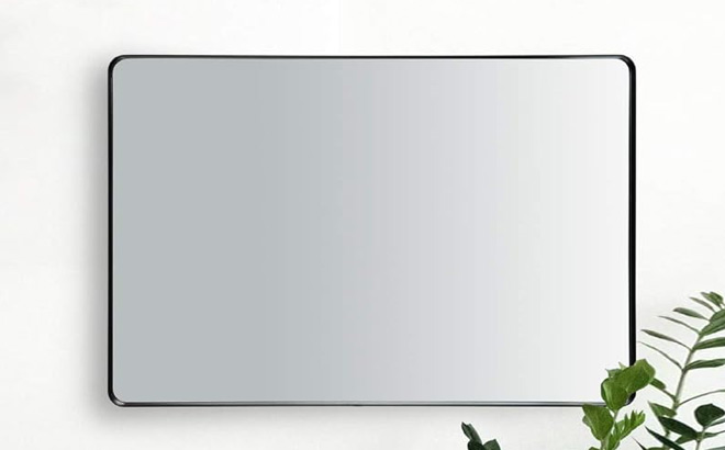 2 Way Rectangle Wall Mirror