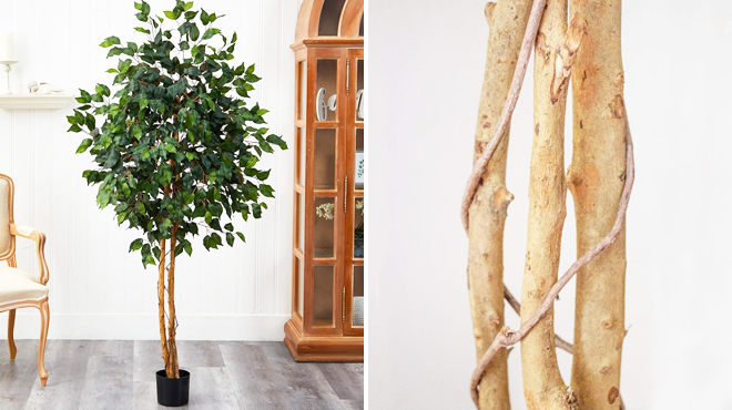 5 Foot Ficus Artificial Tree with Curved Trunk