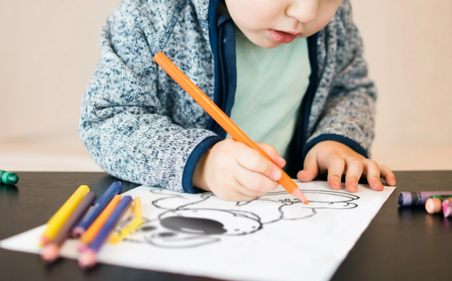 A Boy Coloring a Dog Picture from Bendon Pet Pals Jumbo Coloring Book