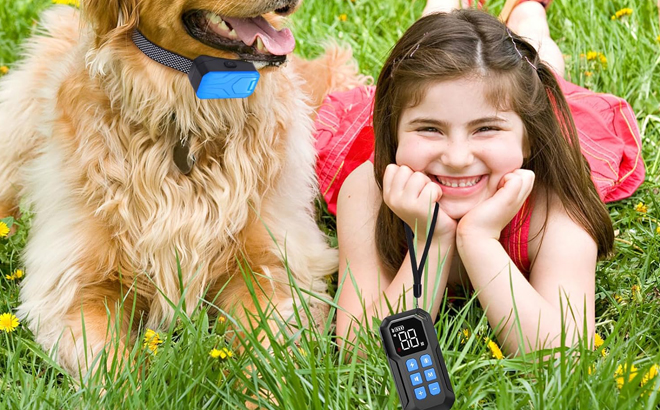 A Child Training a Dog Using a 2 in 1 Wireless Dog Fence and Training Collar