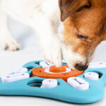 A Dog Playing With Interactive Dog Treat Puzzle Toy