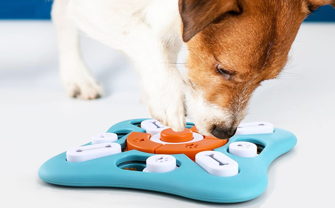 A Dog Playing With Interactive Dog Treat Puzzle Toy