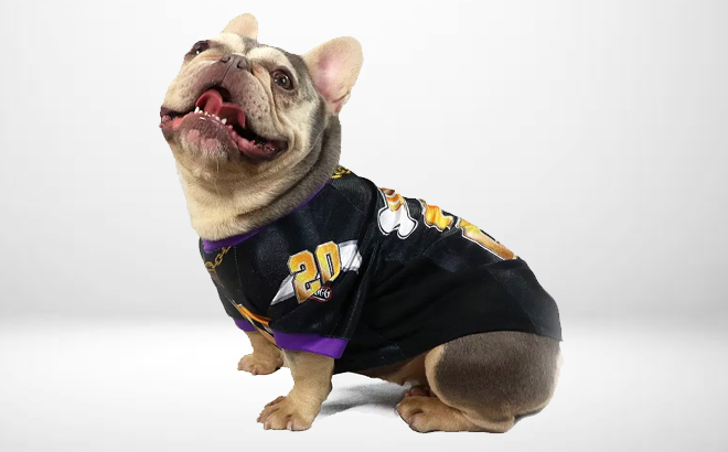 A Dog Wearing a Snoop Doggie Doggs Dog Jersey