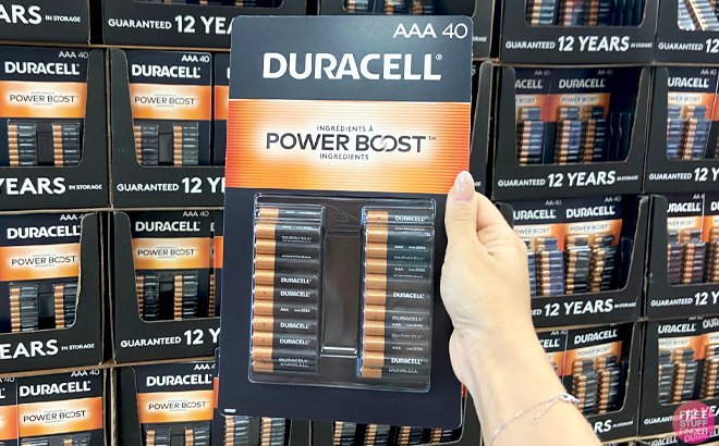 A Hand holding a Duracell 40 Count Coppertop Alkaline AAA Batteries Pack in a Store