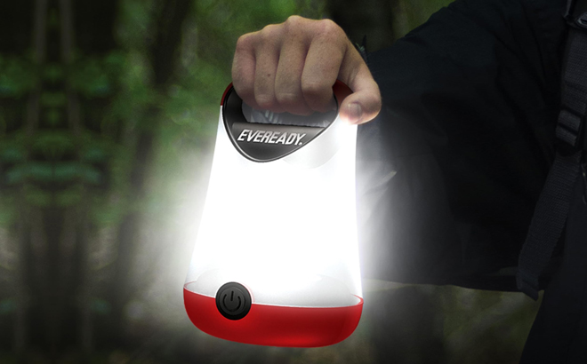 A Man Holding Eveready LED Camping Lantern