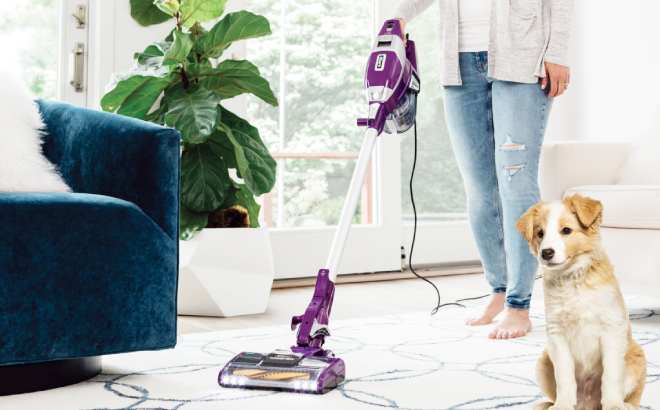 A Person Cleaning a Carpet Using a Shark Rocket Pet Pro Corded Stick Vacuum