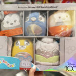 A Person Holding a Disney100 Squishmallows 5 Piece Plush Box Set