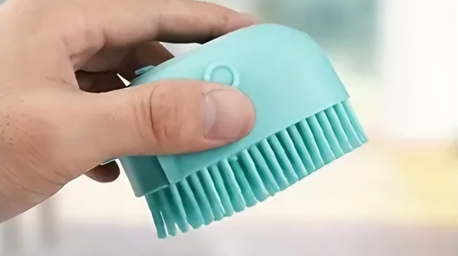 A Person Holding a Dog Bath Brush