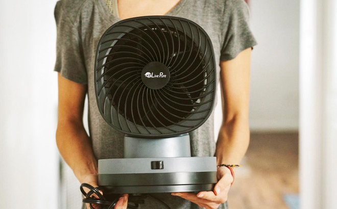 A Person Holding a LivePure Orbital Dual Oscillating Fan