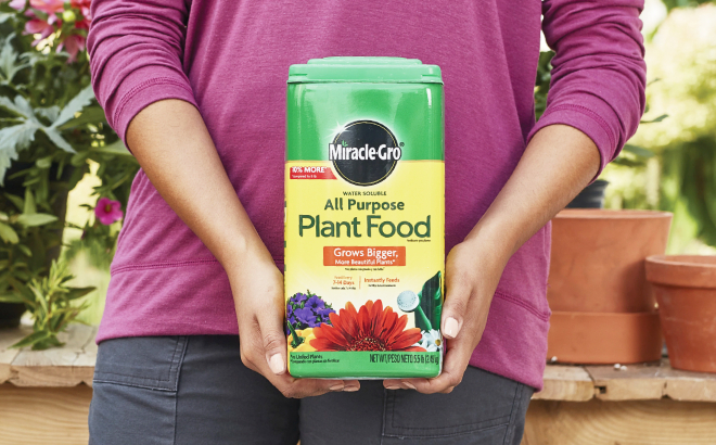 A Person Holding a Tub of Miracle Gro All Purpose Plant Food