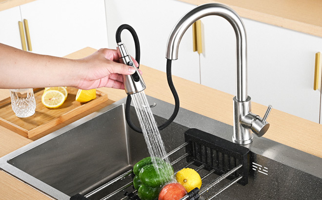 A Person Using a Pull Down Faucet Sprayer