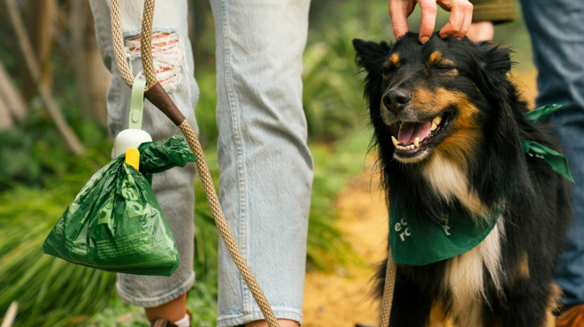 A Person with a Pet Dog