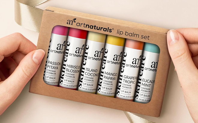 ArtNaturals Organic Lip Balm 6 Piece Gift Se