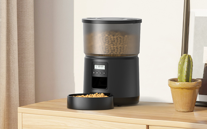 Bemoony Automatic Cat Feeder on a Dresser