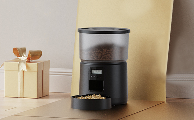 Bemoony Automatic Cat Feeder on the Floor