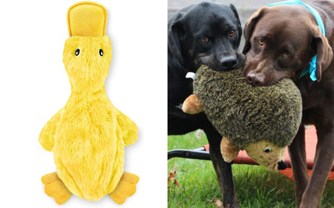 Best Pet Supplies Crinkle Duck Dog Toy and Outward Hound Hedgehogz Plush Dog Toy