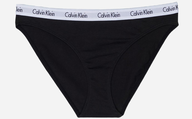 Calvin Klein Carousel Logo Cotton Bikini