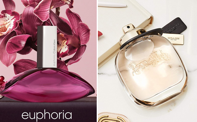 Calvin Klein Euphoria for Women Eau de Parfum