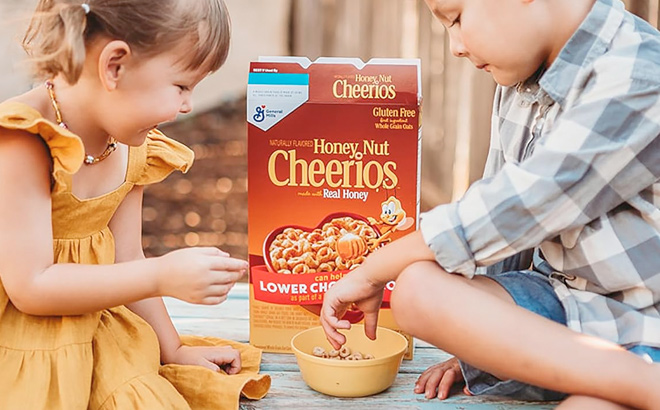 Cheerios Honey Nut Cereal