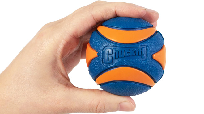 Chuckit Ultra Squeaker Dog Ball Fetch Toy