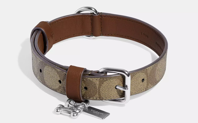 Coach Outlet Boxed Large Pet Collar In Signature Canvas