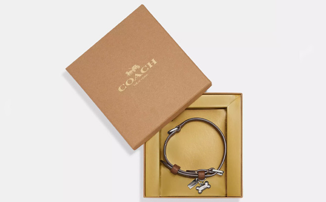 Coach Outlet Boxed Small Pet Collar In Signature Canvas