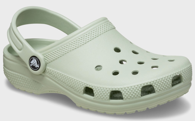 Crocs Kids Classic Clog