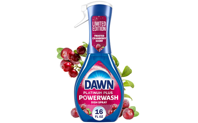 Dawn Powerwash Dish Spray in Frosted Carnberry Scent