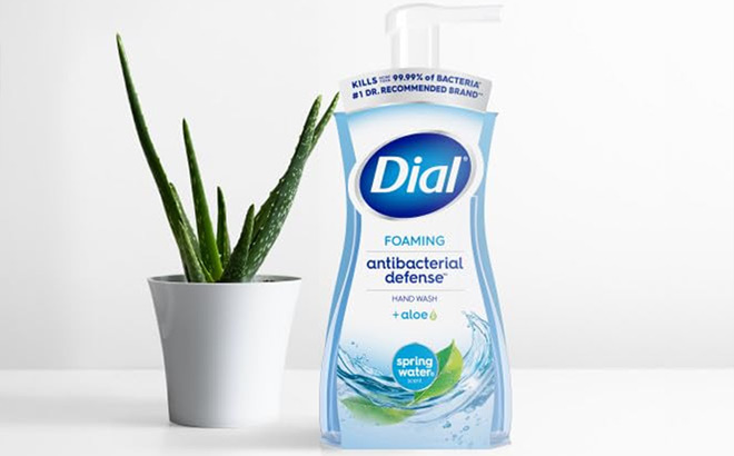 Dial Antibacterial Foaming Hand Wash Spring Water