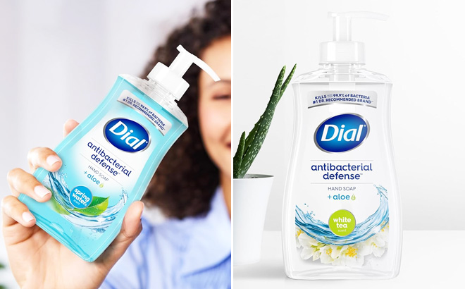 Dial Antibacterial Hand Soap 4 Pack