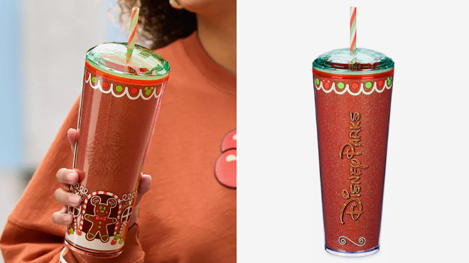 Disney Eats Gingerbread Starbucks Tumbler with Straw