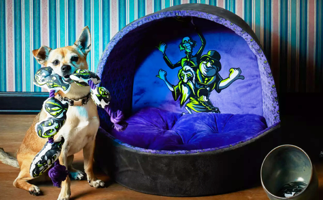 Disney Hitchhiking Ghosts Doom Buggy Pet Bed