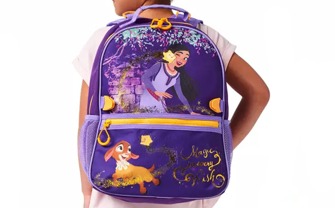 Disney Wish Backpack