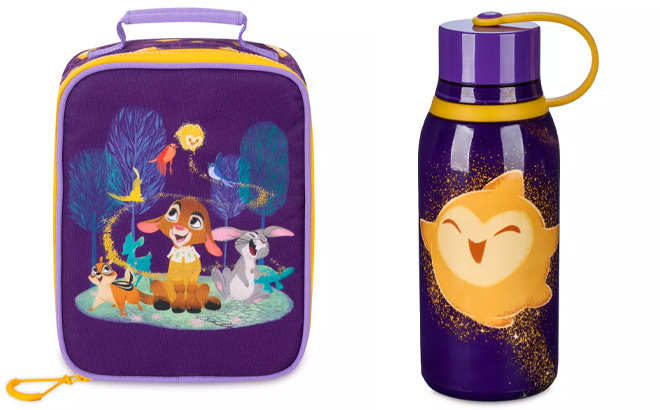 Disney Wish Lunch Box and Disney Wish Star Stainless Steel Water Bottle