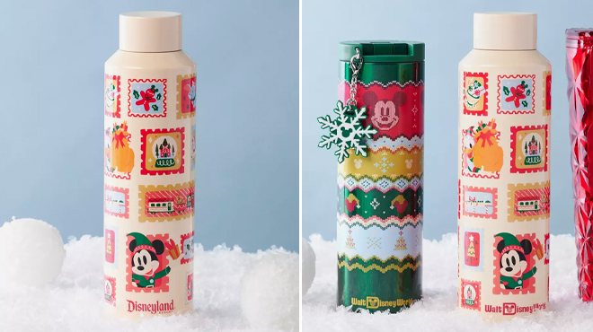 Disneyland and Walt Disney World Water Bottles