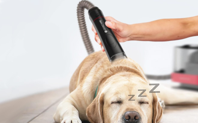 Dog Modern Grooming Kit with Vacuum