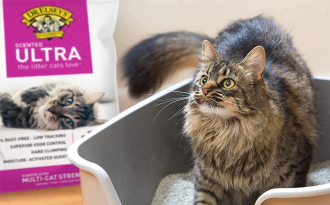 Dr Elseys Premium Clumping Cat Litter Ultra Scented 99 9 Dust Free Low Tracking Hard Clumping Superior Odor Control