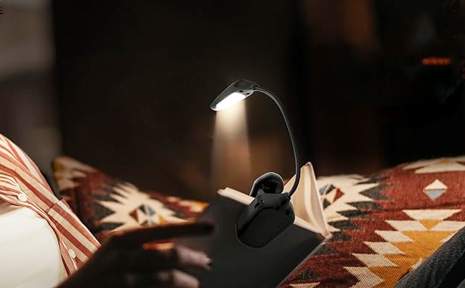 Energizer LED Book Light