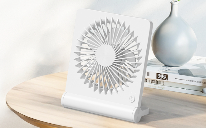 Ferrisa Portable Desk Fan