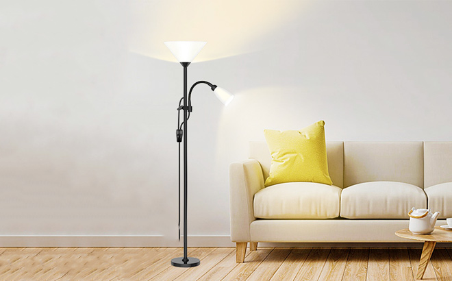 Floor Lamp 3 Color TemperatureDimmable Standing lamp