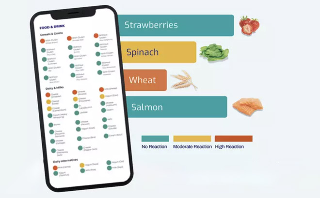 Food Sensitivity Test