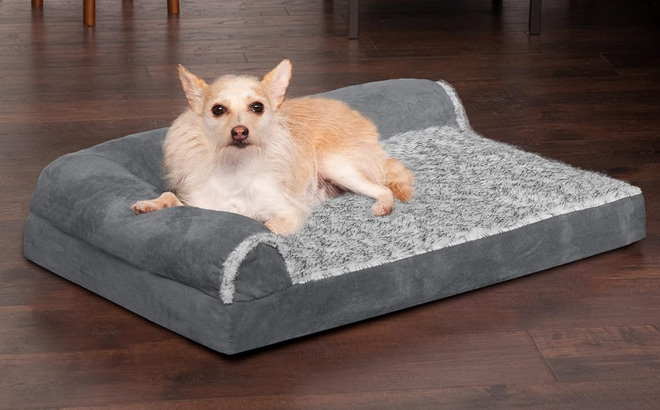 Furhaven Orthopedic Dog Bed