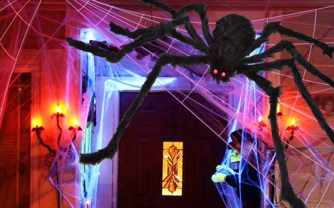 Giant Halloween Spider and Web Decoration Above the Door