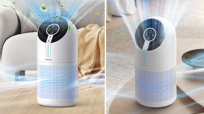 HEPA Air Purifiers on Floor and Table