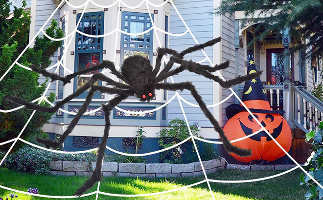 Halloween Spider Web and Giant Spider Decoration