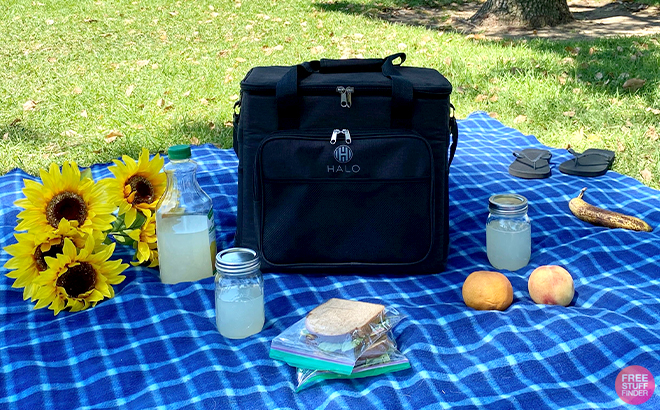 Halo 28-Liter Thermoelectric Cooler & Heater Collapsible Bag on a Picnic Blanket